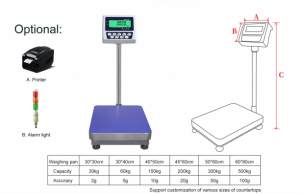 platform scale